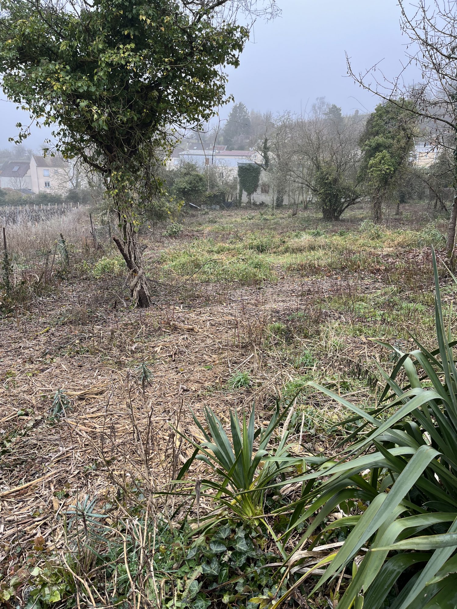 Immobilier vente à EPERNAY Terrain 