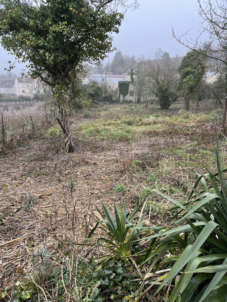 Immobilier vente à EPERNAY Terrain 
