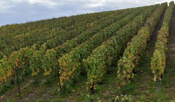 Immobilier vente à MARDEUIL Autre bien 