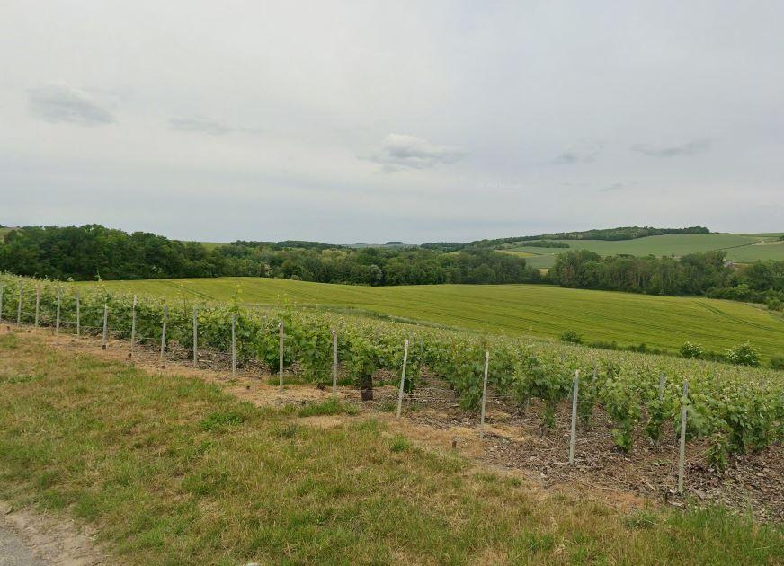 Immobilier vente à PASSY GRIGNY Autre bien 