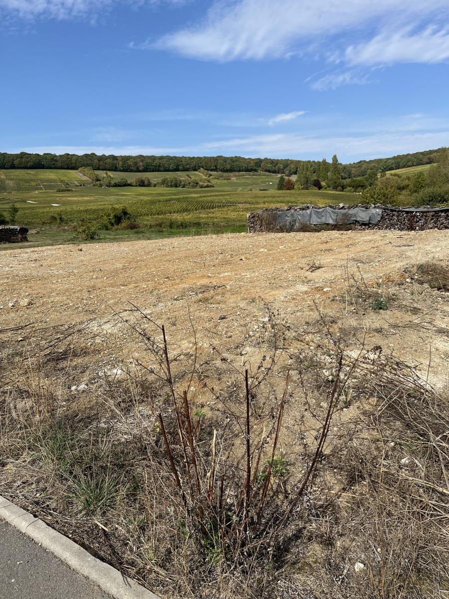 Immobilier vente à FLEURY LA RIVIERE Terrain 