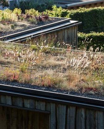 Urbanisme : installer une toiture végétalisée pour faire face aux fortes chaleurs ? 